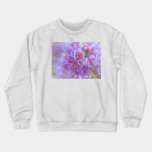 Butterfly Dreams Crewneck Sweatshirt